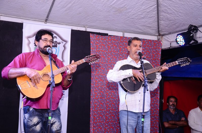 violeiros1