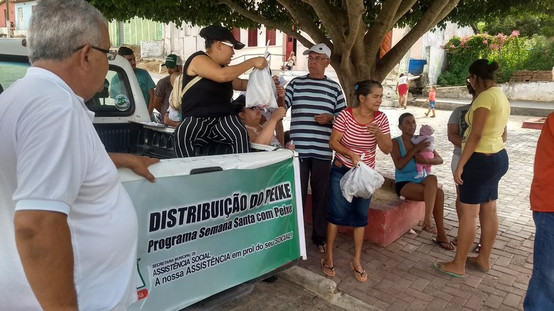 Peixe 7