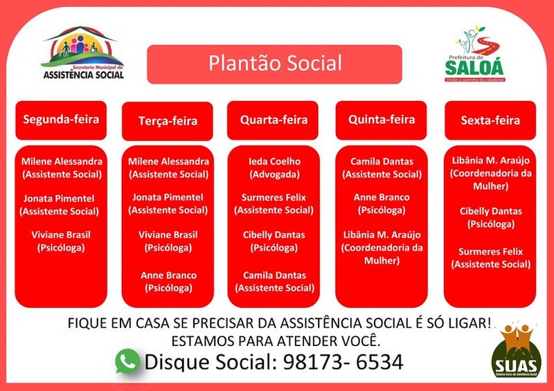 Plantão